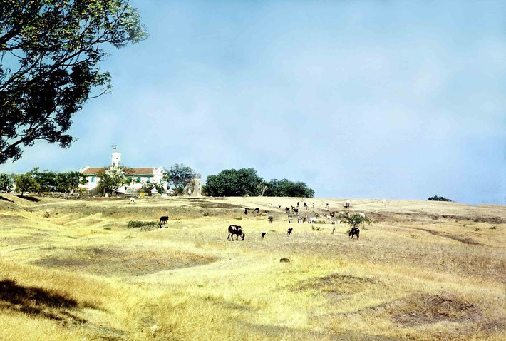 1975 ; photo taken by Anthony Zois