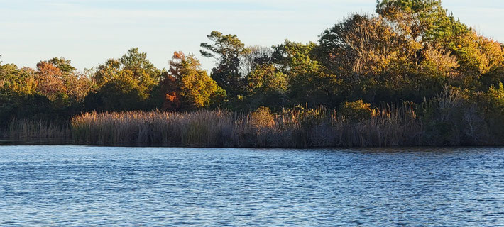  Fall - November 2025 - Long Lake. Photo taken by Anthony Zois.