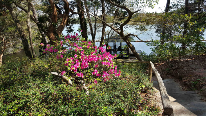 Present-day : Steps leading to the Boat-house.  Photo taken by Anthony Zois - 2019