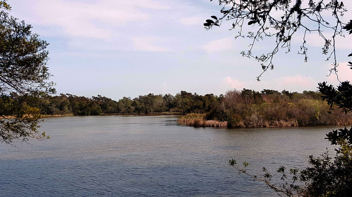 Summer - Long Lake ; photo taken by Anthony Zois