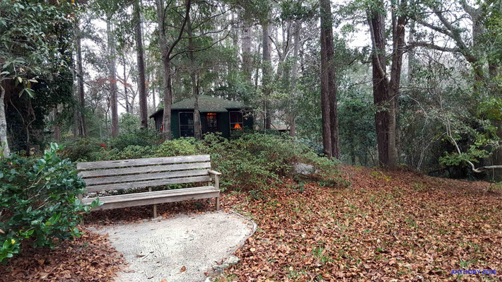 2017 Christmas time near the Lagoon Cabin. Photo taken by Anthony Zois