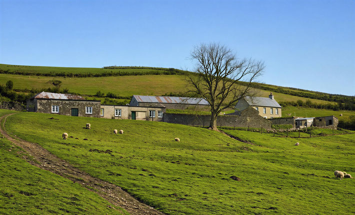 1932 : East Challacombe property, Devon, England. Image rendition by Anthony Zois. BP