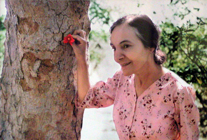 Mehera at the tree outside her bedroom window