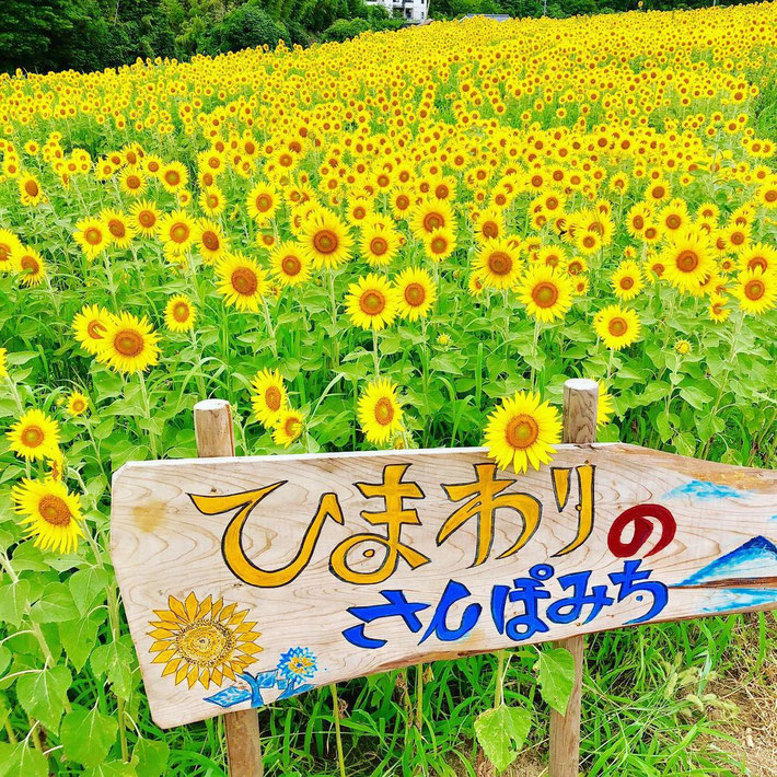 2019写真提供/塩川様