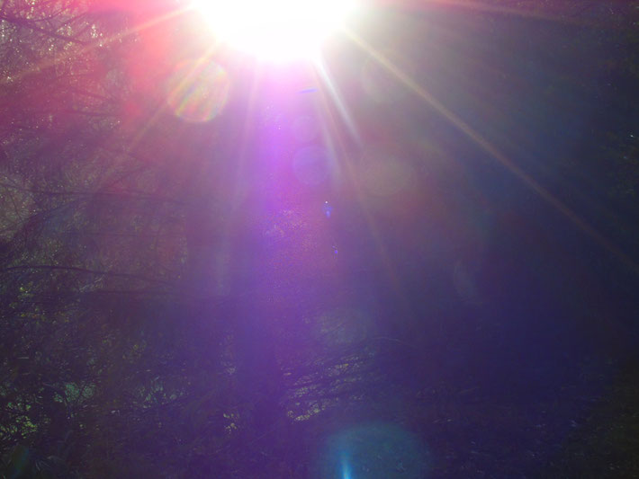 ©www.lichtwesenfotografie.com "Allgegenwärtiges Licht"
