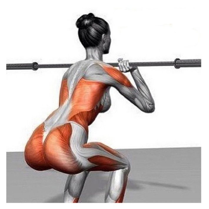 sentadillas