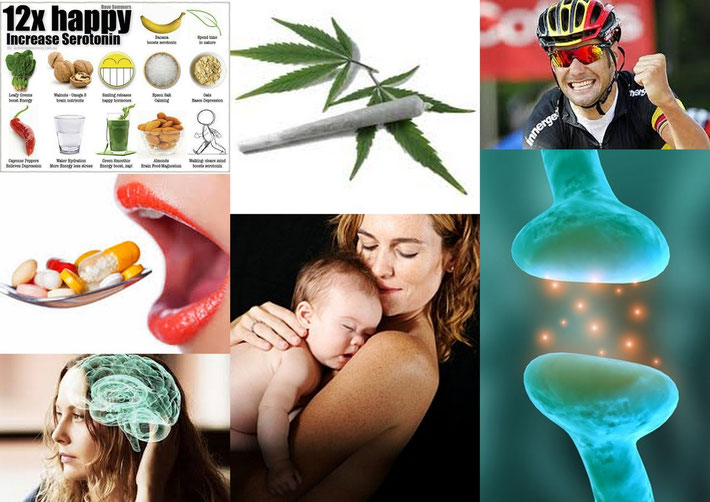 Raphael und Rafael: Die Biologie und das Glück (Collage)