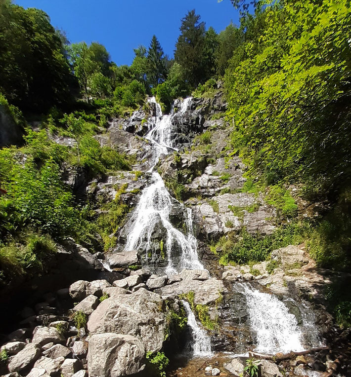 Die Todtnauer Wasserfälle