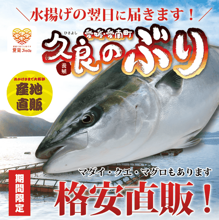 久良のぶり　期間限定　格安直販