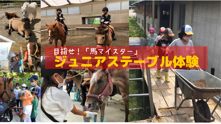 ステーブル体験ではこんなことをします 安心の乗馬体験 大阪市の乗馬クラブ ステーブル体験ではこんなことをします 安心の乗馬体験 大阪市の乗馬クラブ