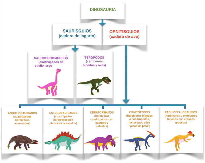 Cómo se clasifican los dinosaurios - Dinofun App - Aprende con estos dinosaurios  para niños