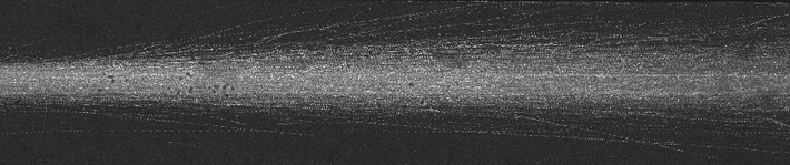 Dispersion of a jet of microswimmers along a plug flow. The dynamics of such phenomenon will tell us about fine effects due to hydrodynamics interactions.