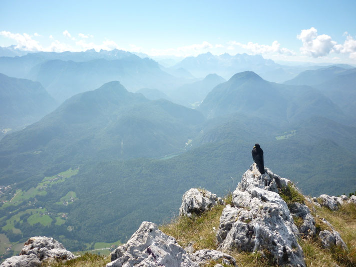 Bergpanorama über Bad Reichenhall / Berchtesgadener Land - Heilpraktiker Martin Johannes Gahbauer