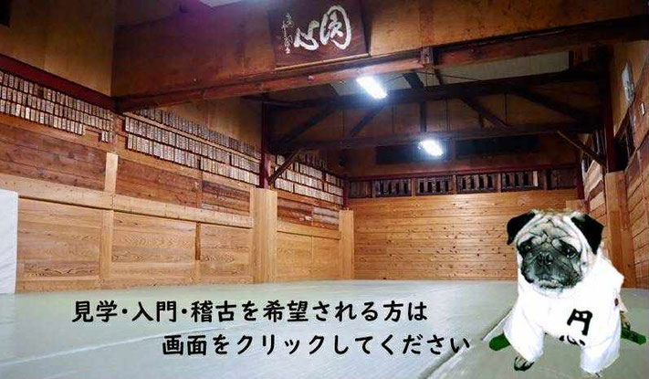 京都 柔道円心道場