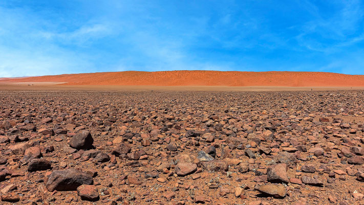 Merveilles du Namib