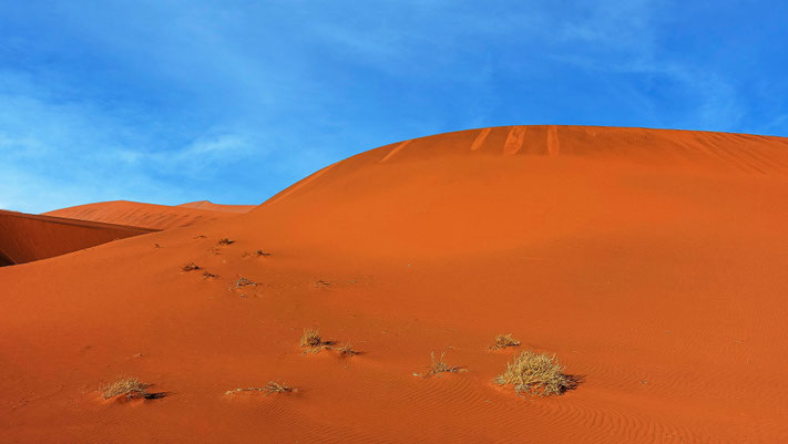 Dunes du Namib