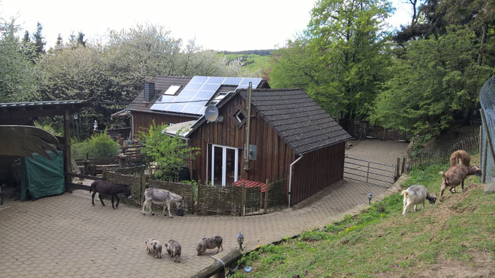 funny-farms Webseite!