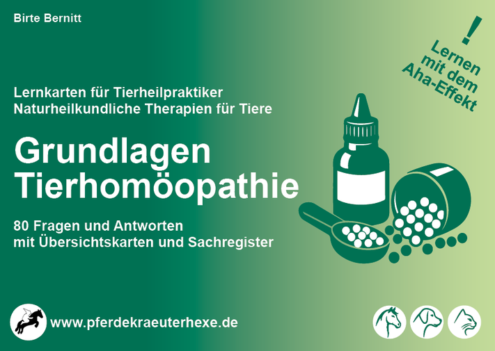 Lernkarte Tierheilkunde Grundlagen – Beispielkarte für Tierheilpraktiker