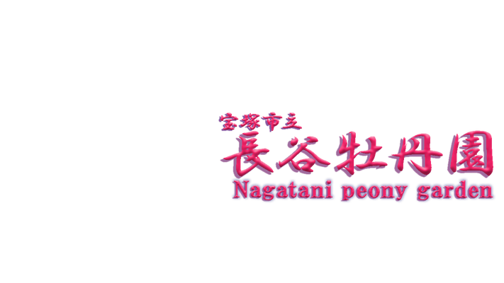 nagatani-btn ページ！