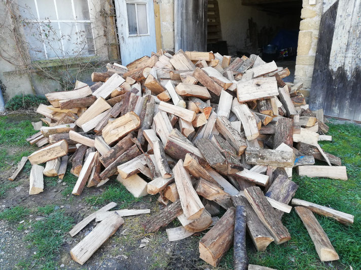 Bestes Brennholz für das Haus in Plottes