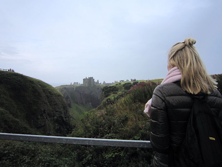 Scotland UK ofpenguinsandelephants of penguins & elephants Dunnottar Castle