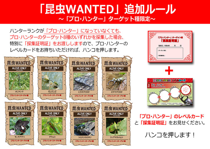 「昆虫WANTED」追加ルール