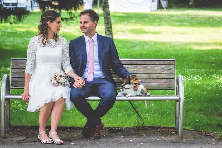 HochzeitHochzeitsfotografie, Der Beste Fotograf, Hochzeit, Braut, Bräutigam, Portraitaufnahme, Portrait, Gross-Gerau, Hessen, Russelsheim, Ruesselsheim, Darmstadt, Mainz, Wiesbaden, Frankfurt, Nauheim, Bischofsheim, Bauschheim, Fotoshooting, Hund, Bank
