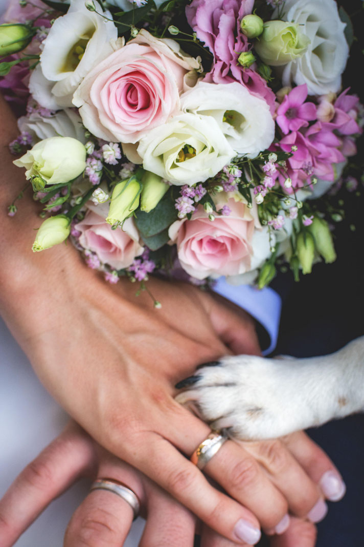 HochzeitHochzeitsfotografie, Der Beste Fotograf, Hochzeit, Braut, Bräutigam, Portraitaufnahme, Portrait, Gross-Gerau, Hessen, Blumen, Russelsheim, Ruesselsheim, Darmstadt, Mainz, Wiesbaden, Frankfurt, Nauheim, Bischofsheim, Bauschheim, Fotoshooting, Hund