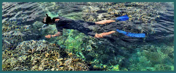 Lovina Snorkeling: 2 options, all info