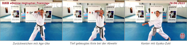 Karate Erlach, DJKB Online Karate-Training, DJKB Instructor-Lehrgang, Thomas Schulze-Sensei