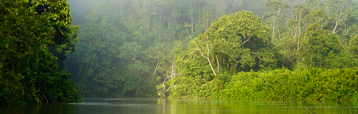 Amazonas. Fotografiert von Nicole Heimann, Bullens Heimann & Friends Foundation.