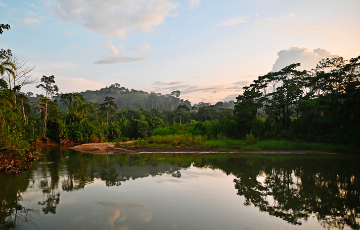 Amazonas. Fotografiert von Nicole Heimann, Bullens Heimann & Friends Foundation.