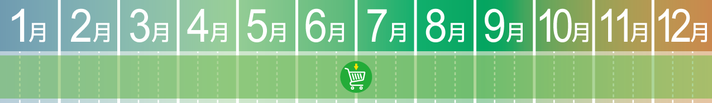 MARGELY_マージェリー_十勝_旬野菜詰合せセット