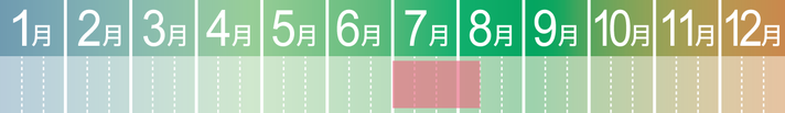 MARGELY_マージェリー_十勝_余市仁木町_さくらんぼ