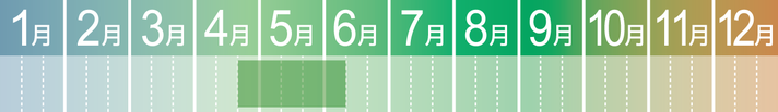 MARGELY_マージェリー_十勝_グリーンアスパラ