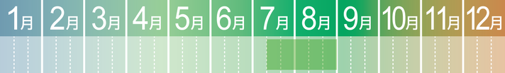 MARGELY_マージェリー_十勝_メロン