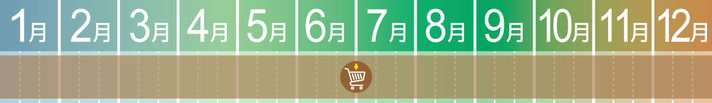 MARGELY_マージェリー_十勝_極上たまふくら大粒納豆