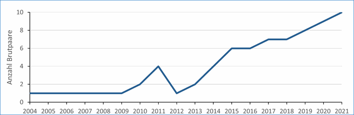 Bestandsentwicklung Brachvogel von 2004 bis 2021