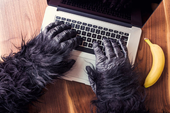 Affenhände auf einer Laptoptastatur
