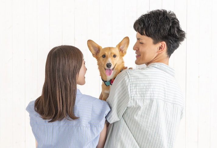 わんちゃんと一緒に家族写真撮影 スタジオ夢物語札幌