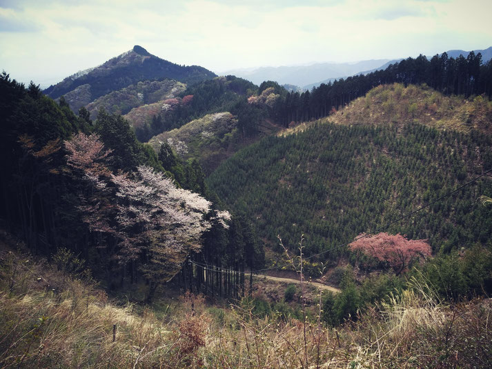 After taking some rest on the top of Mt. Hinode   all rights reserved by onegai kaeru