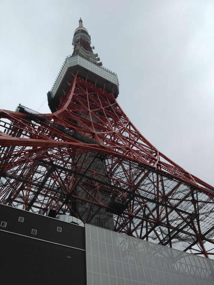 onegai kaeru all rights reserved  tokyo tower