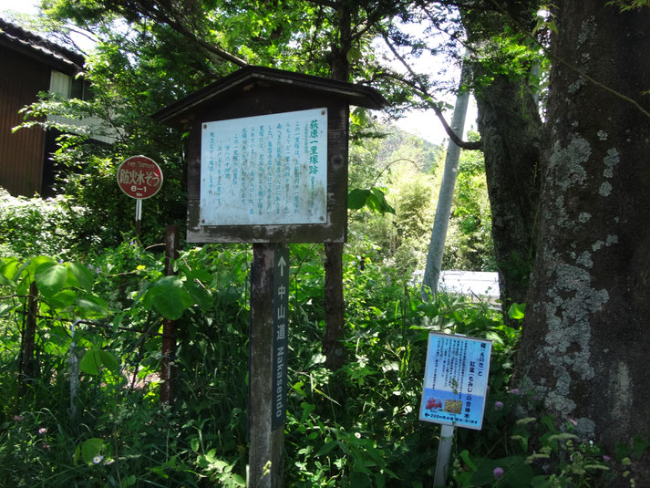 You go trough mountains where bears are around. Take extra caution!! All rights reserved by onegai kaeru