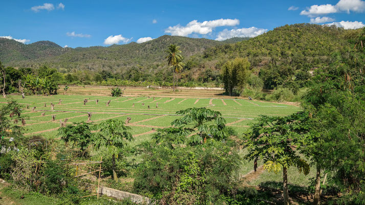Landschaft in Pai