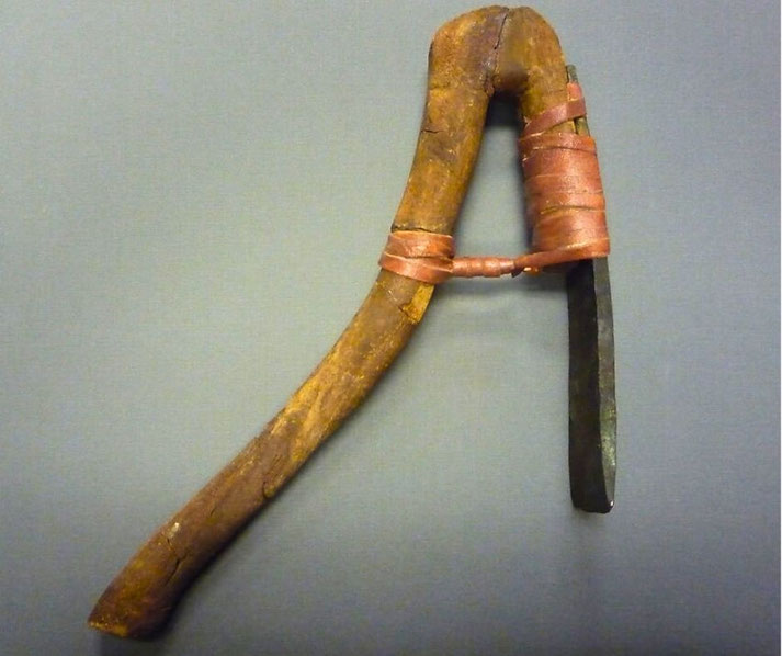 Wooden-handled adze with bronze or copper alloy blade, useful for showing real Egyptian tools and woodworking methods.