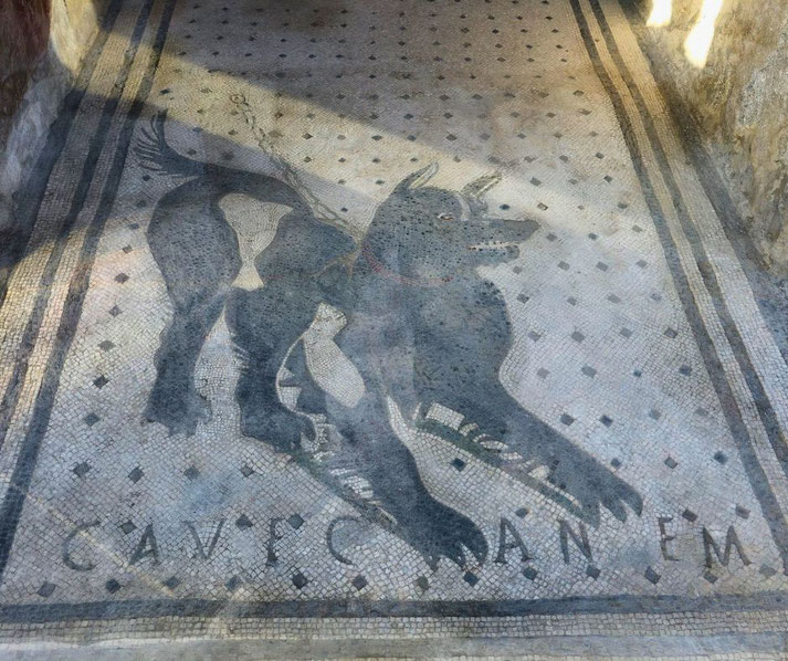 The famous "Cave Canem" mosaic at Pompeii, depicting a black dog on a leash with the Latin inscription warning "Beware of the Dog," set against a patterned floor background.