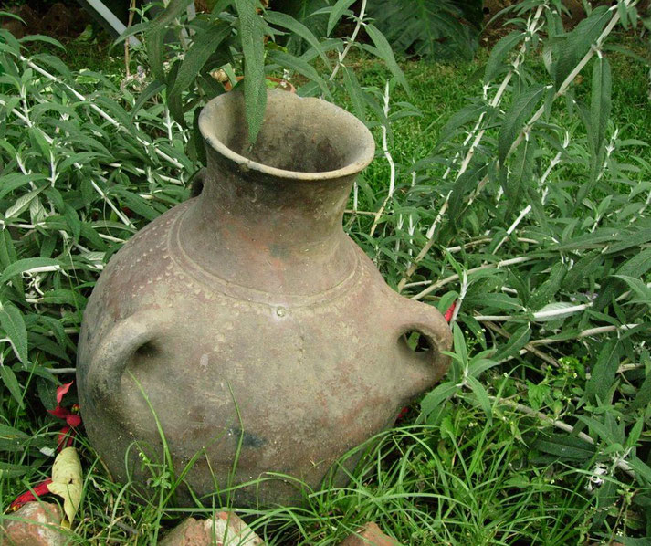 An aged clay pot with a narrow neck and rounded body rests among lush green plants and grass, blending into the natural surroundings. Its surface shows signs of wear and intricate decorative details.