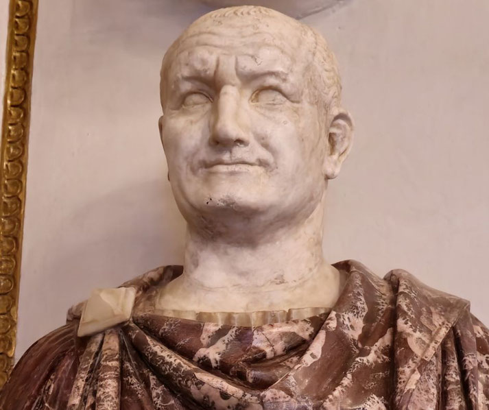 Marble bust of a stern, balding man with a slight smile, wearing a richly patterned toga, likely representing the Roman Emperor Vespasian.