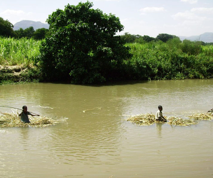 Two individuals navigate a river on makeshift rafts of reeds or plants, surrounded by lush greenery and sugarcane fields, with distant hills under a bright blue sky.
