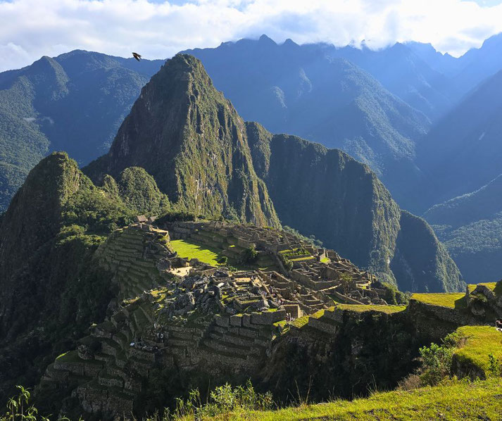 Machu Picchu, the iconic Inca citadel nestled in the Andes Mountains. Surrounded by lush greenery and steep peaks, the ancient stone terraces and structures stand under a bright sky.